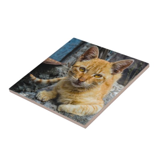 Golden Eyes Tegeltje (Zijkant)