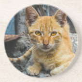 Golden Eyes Zandsteen Onderzetter (Voorkant)