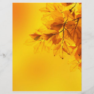 Golden Fall Leaves Achtergrond Flyer