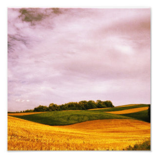 Golden Farmland Foto Afdruk