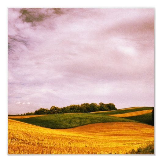 Golden Farmland Foto Afdruk (Voorkant)
