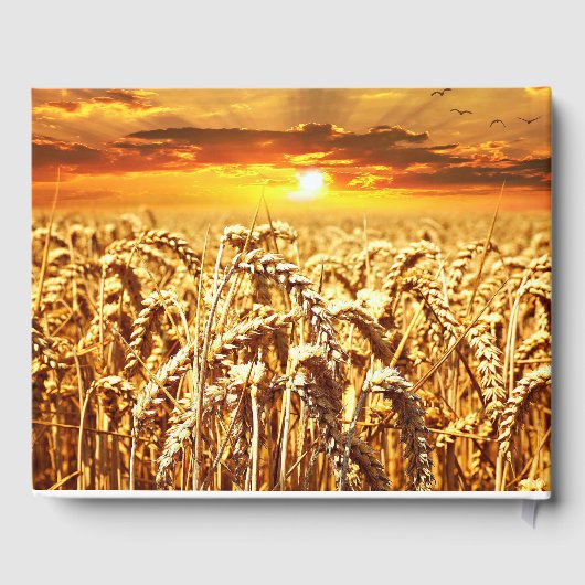 Golden Field of Wheat Farmer Memorial Gastenboek (Achterkant)