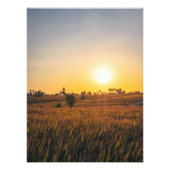 Golden Fields bij zonsondergang | Rustige landscha Foto Afdruk (Voorkant)