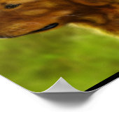 Golden Fields Poster (Hoek)