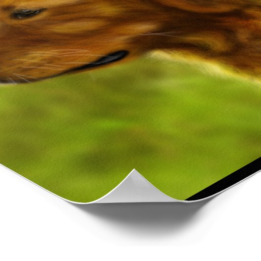 Golden Fields Poster (Hoek)