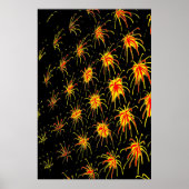 Golden Fireburst Poster (Voorkant)