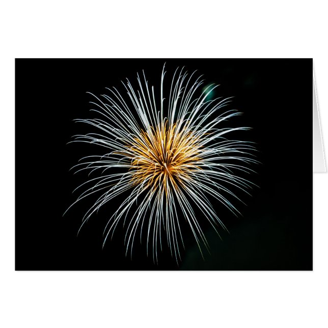 Golden Fireworks (Voorkant Horizontaal)