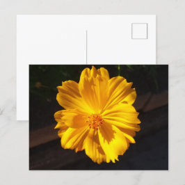 Golden Flower Macro-fotografie Briefkaart