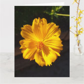 Golden Flower Macro-fotografie Kaart (Gele Bloem)