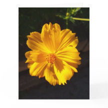 Golden Flower Macro-fotografie