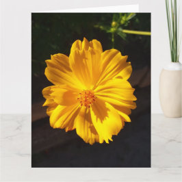 Golden Flower Macro-fotografie Kaart
