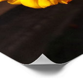 Golden Flower Macro-fotografie Poster (Hoek)