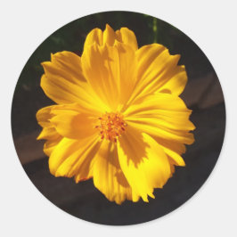 Golden Flower Macro-fotografie Ronde Sticker
