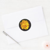 Golden Flower Macro-fotografie Ronde Sticker (Envelop)