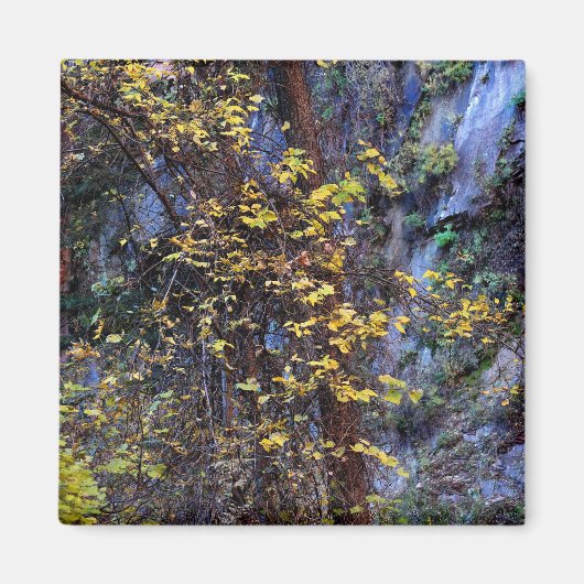 Golden Foliage Magneet (Voorkant)