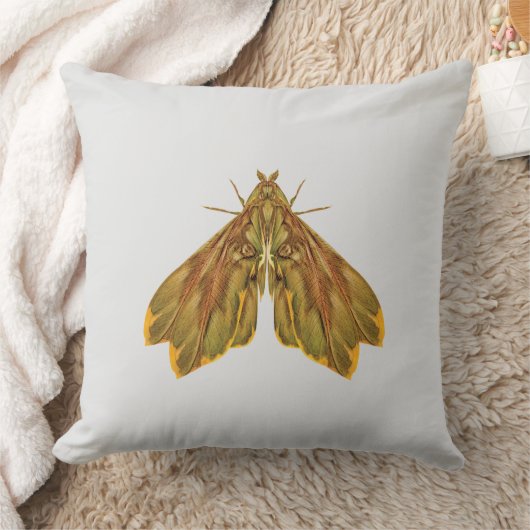 Golden Forest Moth – Surreal Nature Form Kussen (Deken)