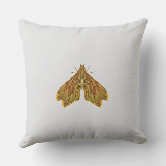Golden Forest Moth – Surreal Nature Form Kussen (Achterkant)