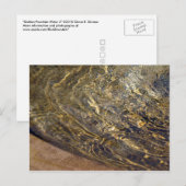 Golden Fountain Water 2 Briefkaart (Voorkant / Achterkant)