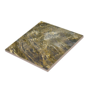 Golden Fountain Water Tegeltje