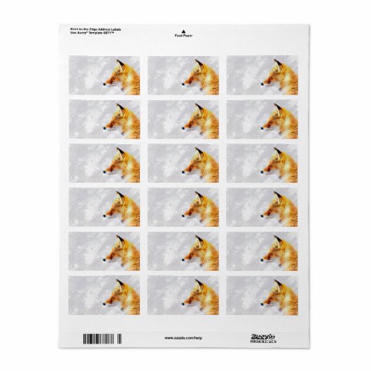 Golden fox Return Label (Full Sheet)