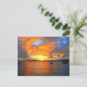 Golden Frank Bay Sunset, St. John, U.S.V.I. Briefkaart (Staand voorkant)
