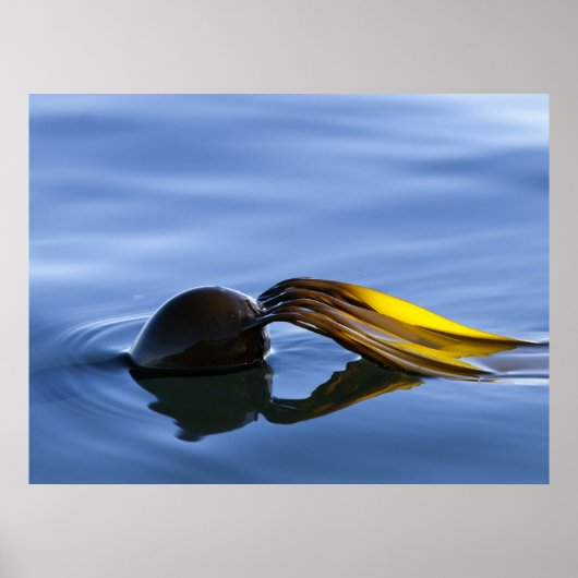 Golden Fronds - Poster (Voorkant)