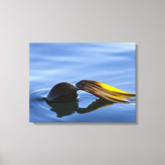 Golden Fronds Wrapped Canvas Afdruk (Voorkant)