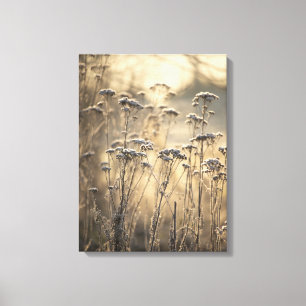 Golden Frosty Morning Vlaams platteland Canvas Afdruk