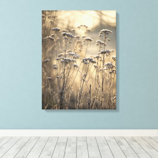 Golden Frosty Morning Vlaams platteland Canvas Afdruk (Insitu (Houten vloer))