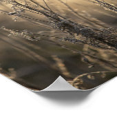 Golden Frosty Morning Vlaams platteland Poster (Hoek)