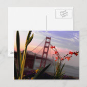 Golden Gate Bridge Garden uitzicht1 Briefkaart (Voorkant / Achterkant)