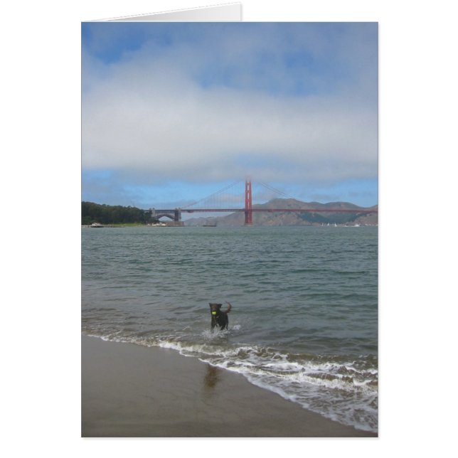 Golden Gate Bridge Jake (Voorkant)