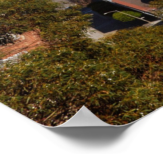 Golden Gate Bridge Poster (Hoek)