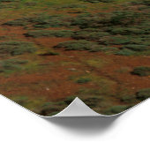 Golden Gate Bridge Poster (Hoek)