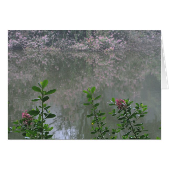 Golden Gate Park 1 (Voorkant Horizontaal)