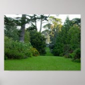 Golden Gate Park Poster (Voorkant)