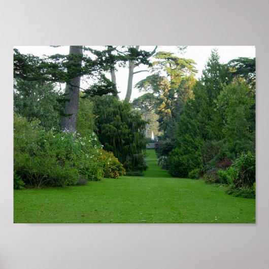 Golden Gate Park Poster (Voorkant)