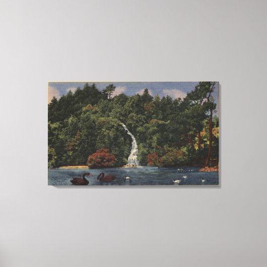 Golden Gate Park, Stow Lake, Huntington-Herfsten Canvas Afdruk (Voorkant)