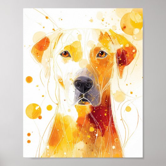 Golden Gaze Poster (Voorkant)