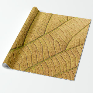 Golden geel bladpatroon in de ochtend. cadeaupapier
