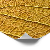 Golden geel bladpatroon in de ochtend. poster (Hoek)