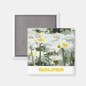 GOLDEN giften magnets White Daisy Flowers Fun Magneet (Voorkant / Achterkant)