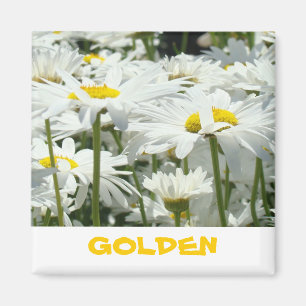 GOLDEN giften magnets White Daisy Flowers Fun Magneet