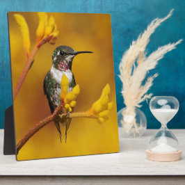 Golden Glow Fotoplaat