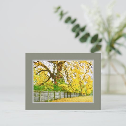 GOLDEN GLOW/TREES EN LEZEN BRIEFKAART (Staand voorkant)