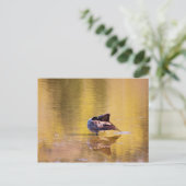 Golden Goose Briefkaart (Staand voorkant)