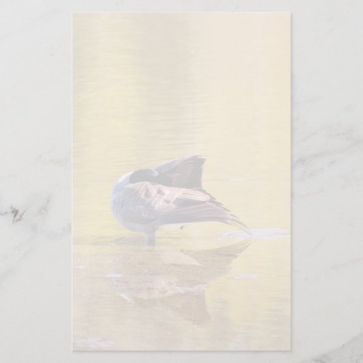 Golden Goose Briefpapier (Voorkant)