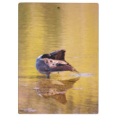 Golden Goose Klembord (Achterkant)