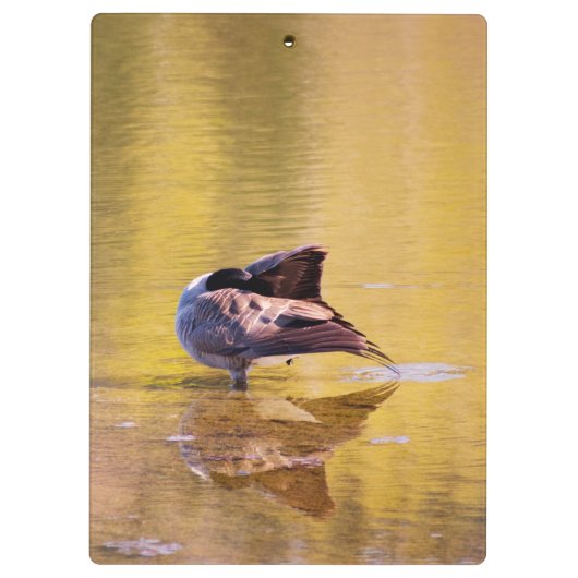 Golden Goose Klembord (Achterkant)