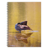 Golden Goose Notitieboek (Voorkant)